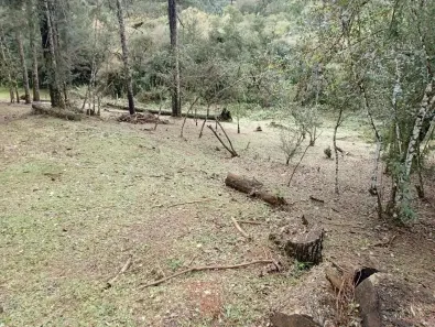 Lote/Terreno à venda, 20000m² no São Dimas, Colombo