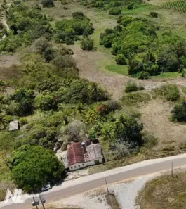 com 4 Quartos à venda, 230000m² no Zona Rural, Monte Alegre