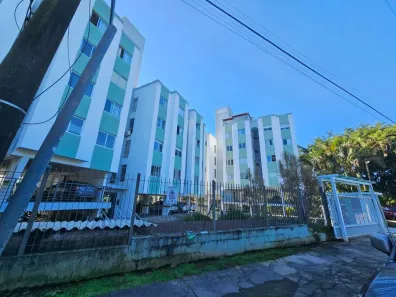 Apartamento com 2 Quartos para alugar, 65m² no Itacorubi, Florianópolis