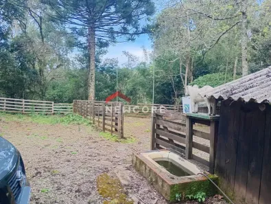 Fazenda/Sítio com 5 Quartos à venda, 146m² no Centro, São Francisco de Paula