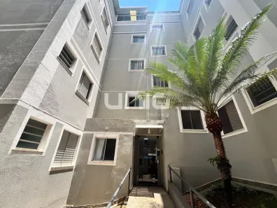 Apartamento com 2 Quartos para alugar, 46m² no Piracicamirim, Piracicaba
