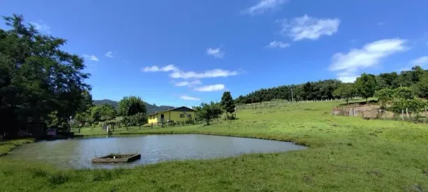 Fazenda/Sítio à venda, 40000m² no , Rolante