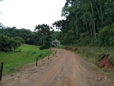 Fazenda/Sítio à venda, 20000m² no Pinhal Alto, Nova Petrópolis