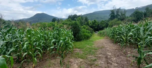 Lote/Terreno à venda, 1364m² no Joaneta, Picada Café