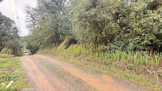 Lote/Terreno à venda, 5000m² no Quatro Barras, Quatro Barras