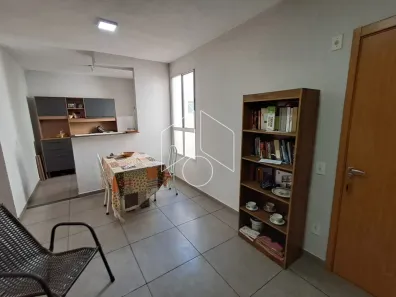 Apartamento com 2 Quartos à venda, 47m² no Jardim Califórnia, Marília