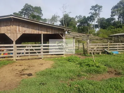 Fazenda/Sítio com 3 Quartos à venda, 59800m² no Centro, Campo Alegre