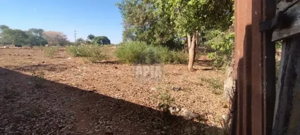 Lote/Terreno à venda, 7360m² no Setor Urias Magalhães, Goiânia