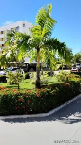 Apartamento com 3 Quartos à venda, 69m² no Aruana, Aracaju