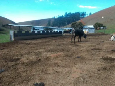 Fazenda/Sítio com 3 Quartos à venda, 120m² no Jardim Aeroporto, Guaratinguetá