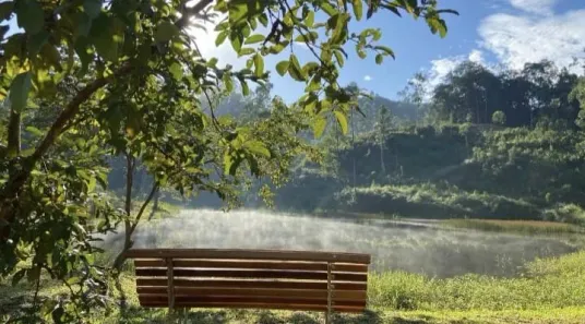 Fazenda/Sítio à venda, 20000m² no , Nova Trento