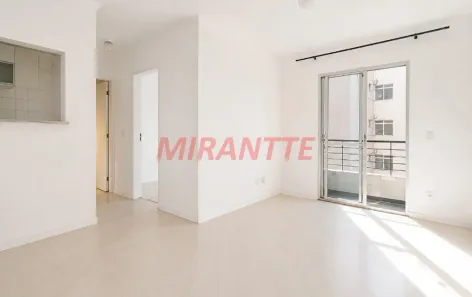 Apartamento com 2 Quartos à venda, 46m² no Vila Amélia, São Paulo