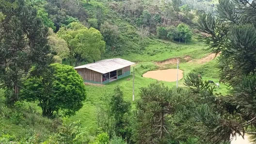 Fazenda/Sítio com 2 Quartos à venda, 63000m² no Centro, Alfredo Wagner