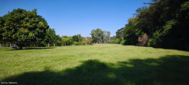 Fazenda/Sítio com 1 Quarto à venda, 50400m² no , Álvares Machado