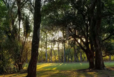Lote/Terreno à venda, 300m² no Tanquinho Velho, Jaguariúna