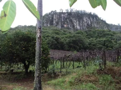 Fazenda/Sítio com 1 Quarto à venda, 210000m² no Galópolis, Caxias do Sul