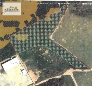 Lote/Terreno à venda, 23000m² no Belvedere, Serra