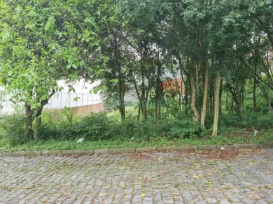 Lote/Terreno à venda, 801m² no Interlagos, Caxias do Sul