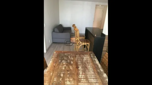 Apartamento com 1 Quarto à venda, 51m² no Parque Colonial, São Paulo