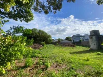 Lote/Terreno à venda, 619m² no Campeche, Florianópolis