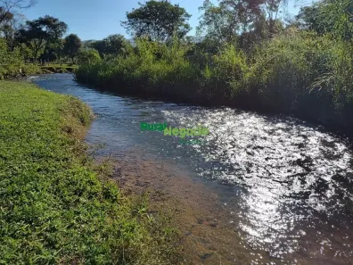 Fazenda/Sítio com 4 Quartos à venda, 21000m² no Ribeirão Grande, Pindamonhangaba