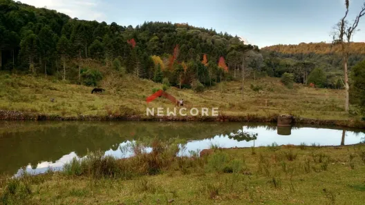 Fazenda/Sítio com 1 Quarto à venda, 47000m² no Centro, São Francisco de Paula