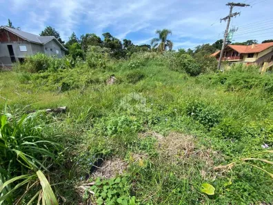 Lote/Terreno à venda, 450m² no , Nova Petrópolis