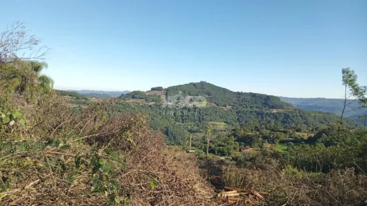 Fazenda/Sítio com 1 Quarto à venda, 33527m² no , Picada Café