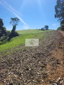 Fazenda/Sítio com 1 Quarto à venda, 81949m² no Bateias de Cima, Campo Alegre