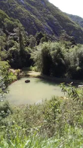 Fazenda/Sítio com 1 Quarto à venda, 20000m² no , Santa Leopoldina