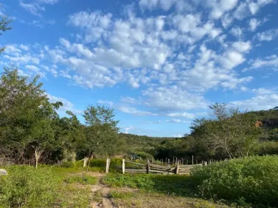 Fazenda/Sítio à venda, 7470000m² no , Canto do Buriti