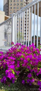 Apartamento com 2 Quartos à venda, 55m² no Parque Cidade Jardim II, Jundiaí