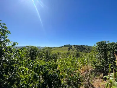 Lote/Terreno com 1 Quarto à venda, 4000m² no , Bueno Brandão