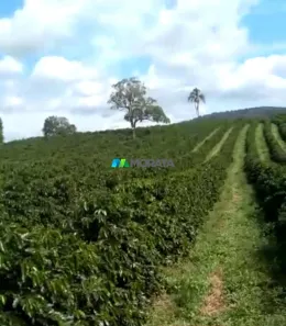 Fazenda/Sítio com 1 Quarto à venda, 48m² no , Carmo da Mata