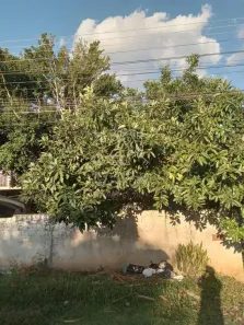 Lote/Terreno à venda, 444m² no Novo Mundo, Curitiba