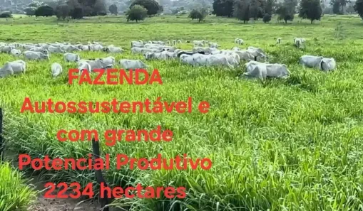 Fazenda/Sítio à venda, 2234m² no , Ribamar Fiquene