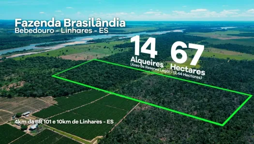 Fazenda/Sítio à venda, 338800m² no Bebedouro, Linhares