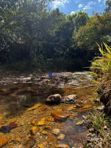 Fazenda/Sítio com 1 Quarto à venda, 1687m² no , Abadiânia