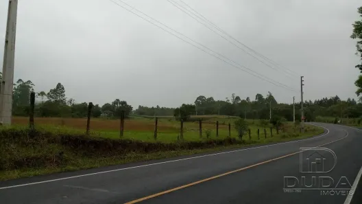 Fazenda/Sítio à venda, 25000m² no São Bento Baixo, Nova Veneza