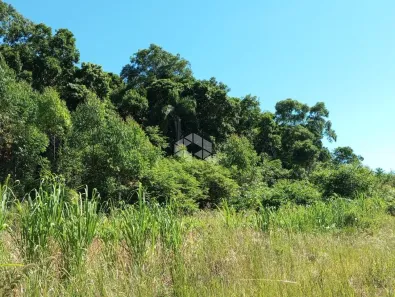 Fazenda/Sítio à venda, 20000m² no Nova Petrópolis, Nova Petrópolis