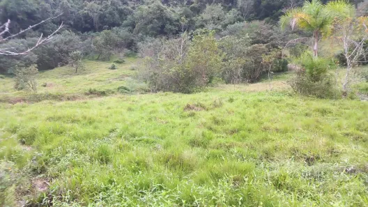 Lote/Terreno à venda, 5000m² no , Águas Mornas