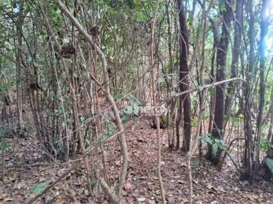 Lote/Terreno à venda, 2041m² no Pipa, Tibau do Sul