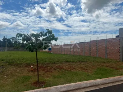 Lote/Terreno à venda, 250m² no Residencial Samambaia, São Carlos