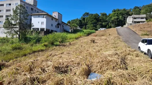 Lote/Terreno à venda, 414m² no Ipiranga, São José