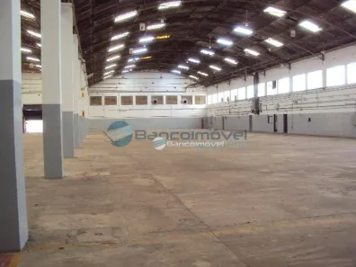 Galpão/Depósito/Armazém para alugar, 4000m² no Macuco, Valinhos