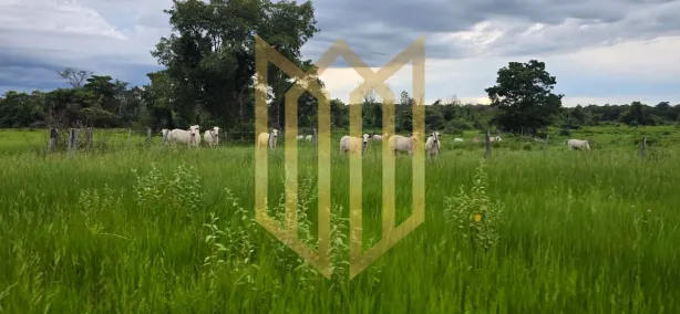 Fazenda/Sítio com 3 Quartos à venda, 6000000m² no Jardim Europa, Cuiabá