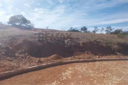 Lote/Terreno à venda, 1204m² no , Jequitibá