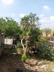 Lote/Terreno à venda, 250m² no Parque Residencial São Clemente, Monte Mor