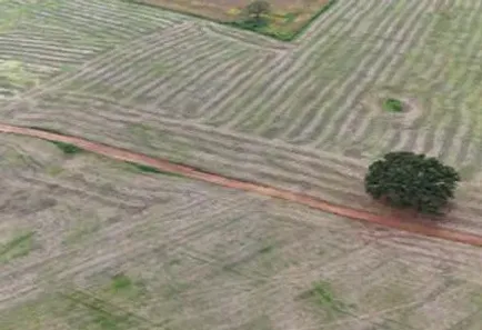 Fazenda/Sítio à venda, 1110000m² no Setor Central, Pontalina