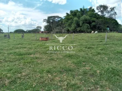 Fazenda/Sítio com 3 Quartos à venda, 72m² no Setor Central, Doverlândia